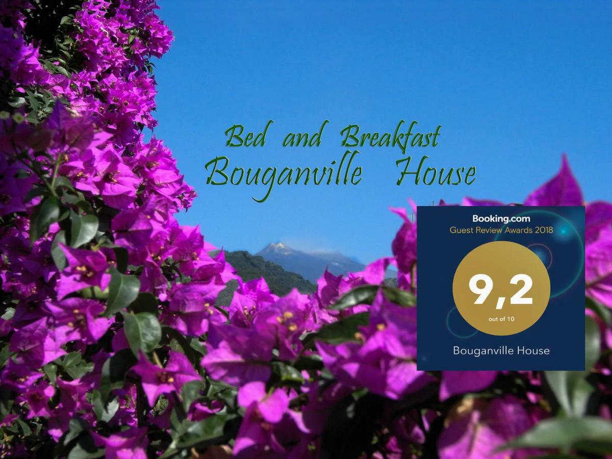Bouganville House Цафферана-Этнея Экстерьер фото